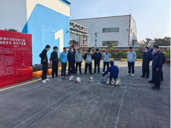 TG反波胆·(中国区)官方网站